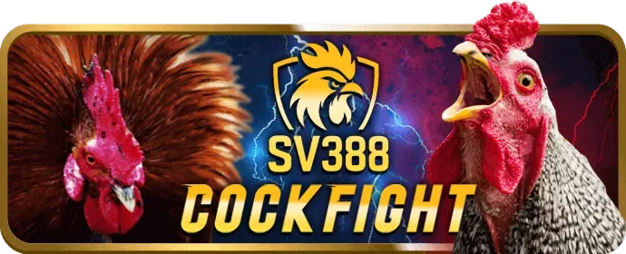 Tương Thích Đa Nền Tảng mm88b